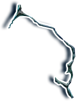 Eleuthera